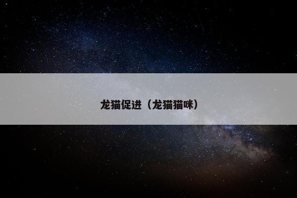 龙猫促进（龙猫猫咪）