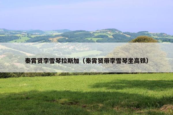 秦霄贤李雪琴拉斯加(秦霄贤带李雪琴坐高铁) 秦霄贤李雪琴拉斯加(秦霄贤带李雪琴坐高铁)