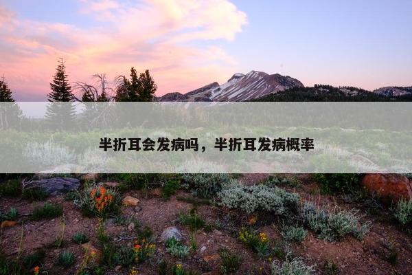 半折耳会发病吗，半折耳发病概率