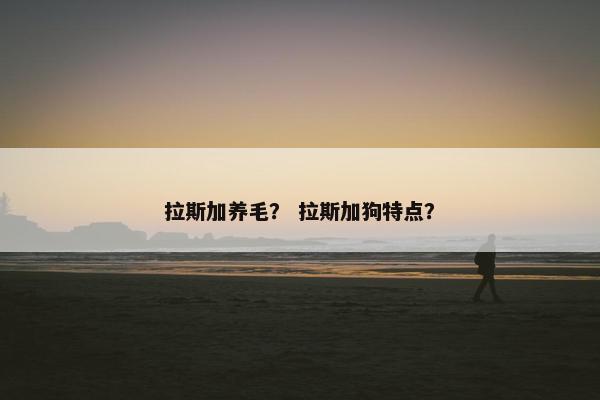 拉斯加养毛？ 拉斯加狗特点？