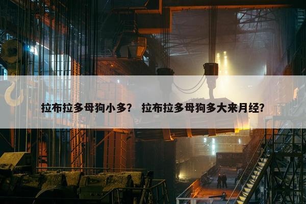 拉布拉多母狗小多？ 拉布拉多母狗多大来月经？