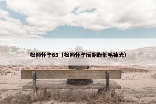 松狮怀孕65（松狮怀孕后期腹部毛掉光）