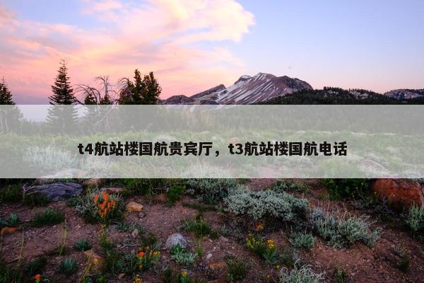 t4航站楼国航贵宾厅，t3航站楼国航电话