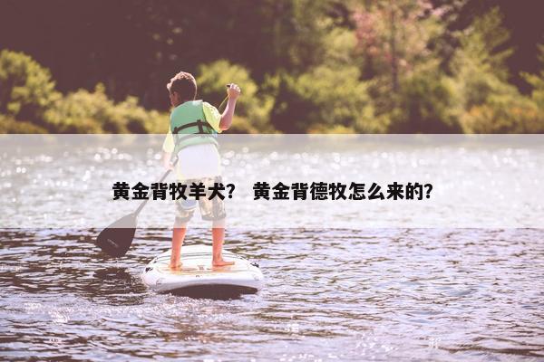 黄金背牧羊犬？ 黄金背德牧怎么来的？