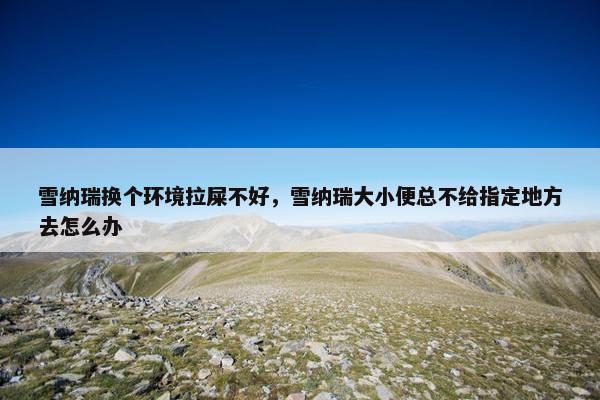 雪纳瑞换个环境拉屎不好，雪纳瑞大小便总不给指定地方去怎么办