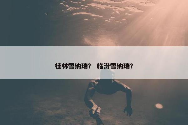 桂林雪纳瑞？ 临汾雪纳瑞？