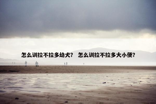 怎么训拉不拉多幼犬？ 怎么训拉不拉多大小便？