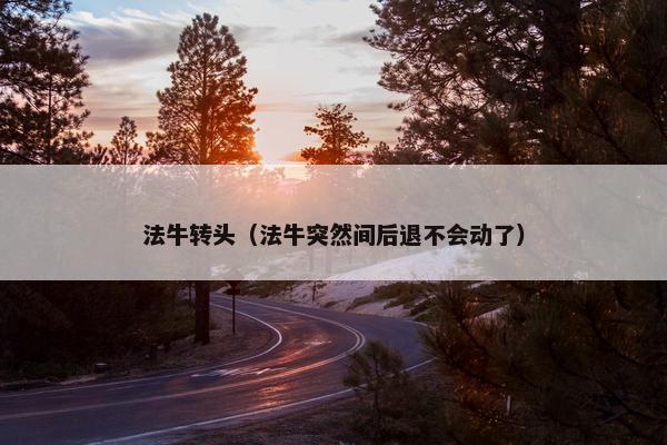 法牛转头（法牛突然间后退不会动了）