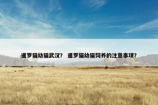 暹罗猫幼猫武汉？ 暹罗猫幼猫饲养的注意事项？