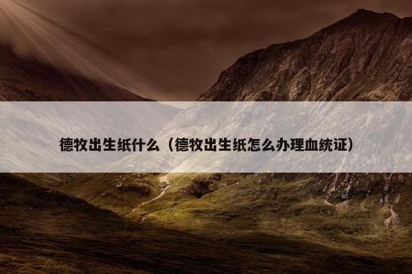德牧出生纸什么（德牧出生纸怎么办理血统证）