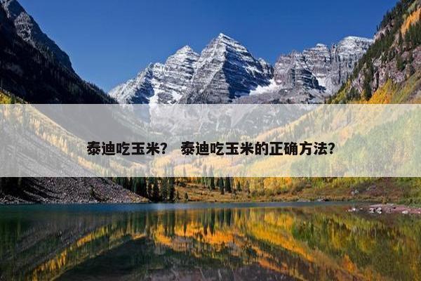 泰迪吃玉米？ 泰迪吃玉米的正确方法？
