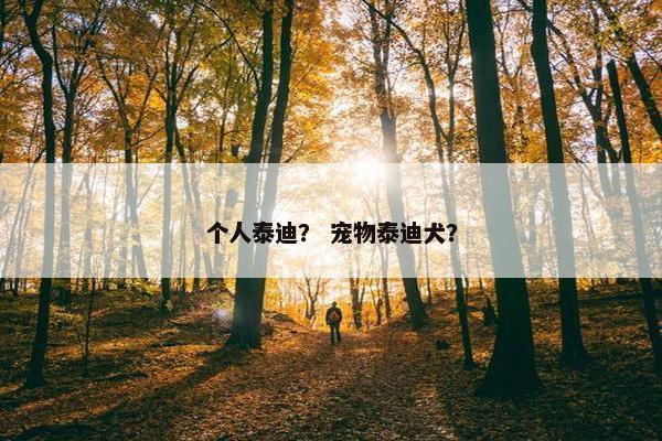 个人泰迪？ 宠物泰迪犬？