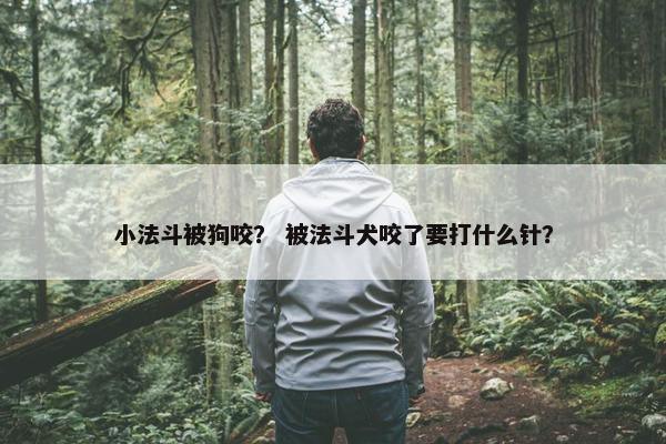 小法斗被狗咬？ 被法斗犬咬了要打什么针？