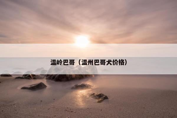 温岭巴哥（温州巴哥犬价格）