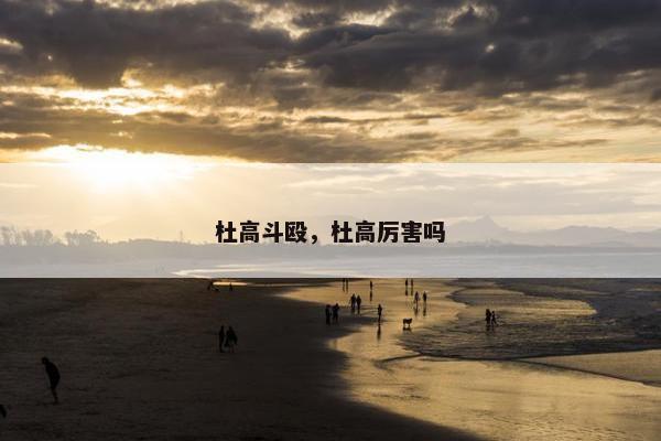 杜高斗殴，杜高厉害吗