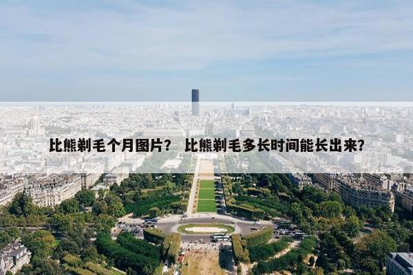 比熊剃毛个月图片？ 比熊剃毛多长时间能长出来？