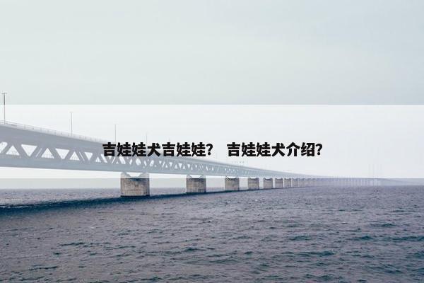 吉娃娃犬吉娃娃？ 吉娃娃犬介绍？