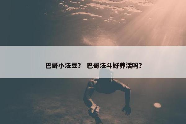 巴哥小法豆？ 巴哥法斗好养活吗？