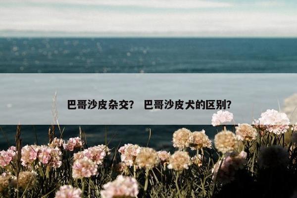 巴哥沙皮杂交？ 巴哥沙皮犬的区别？