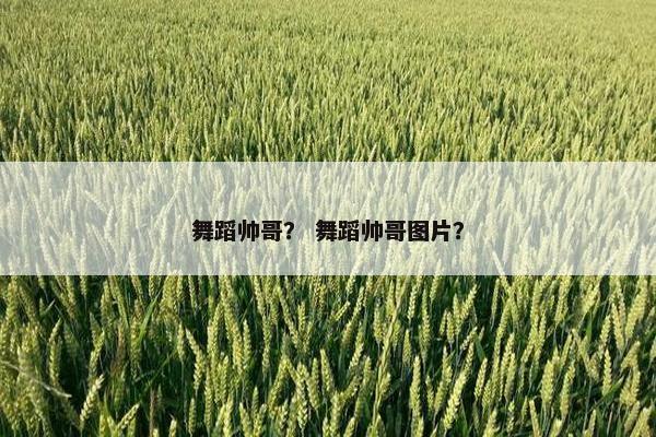 舞蹈帅哥？ 舞蹈帅哥图片？