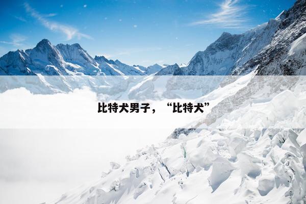 比特犬男子，“比特犬”