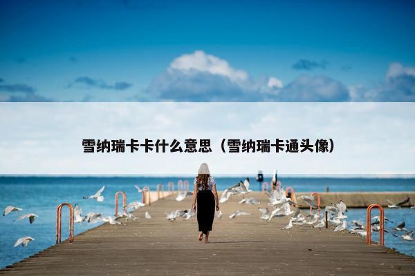 雪纳瑞卡卡什么意思（雪纳瑞卡通头像）