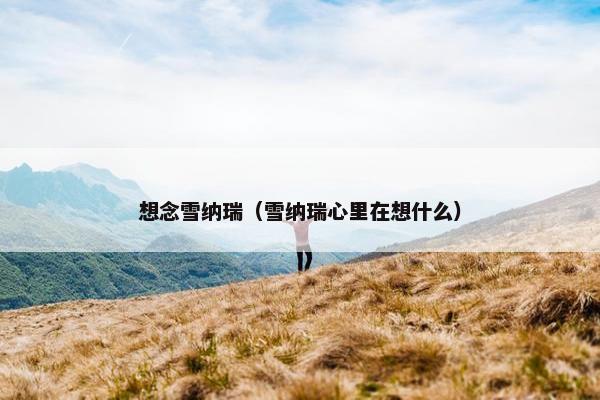 想念雪纳瑞（雪纳瑞心里在想什么）