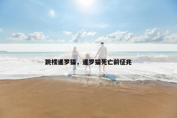 跳楼暹罗猫，暹罗猫死亡前征兆