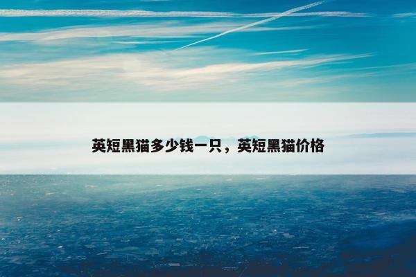英短黑猫多少钱一只，英短黑猫价格