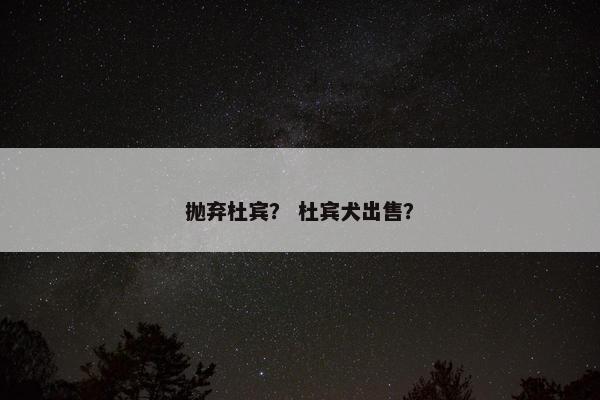 抛弃杜宾？ 杜宾犬出售？