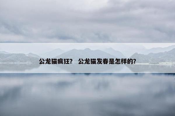 公龙猫疯狂？ 公龙猫发春是怎样的？