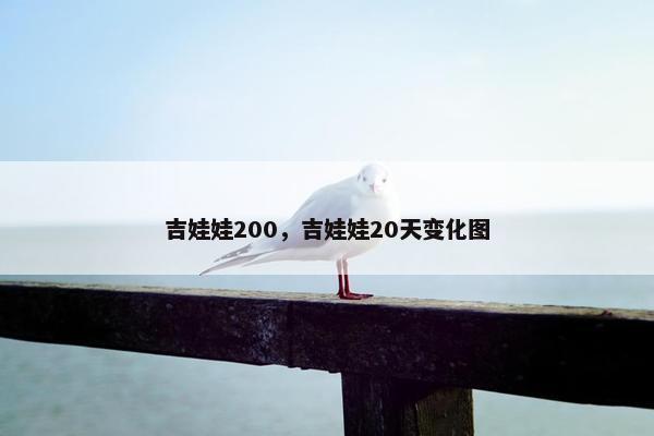 吉娃娃200，吉娃娃20天变化图
