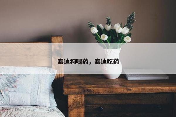 泰迪狗喂药，泰迪吃药