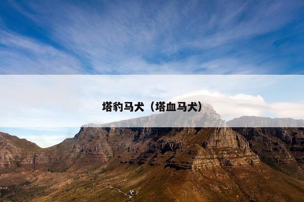 塔豹马犬（塔血马犬）