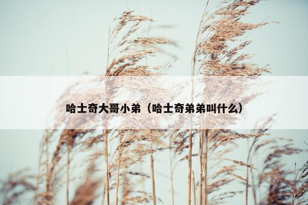 哈士奇大哥小弟（哈士奇弟弟叫什么）