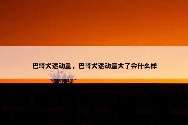巴哥犬运动量，巴哥犬运动量大了会什么样