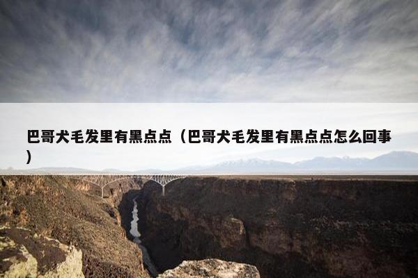 巴哥犬毛发里有黑点点（巴哥犬毛发里有黑点点怎么回事）