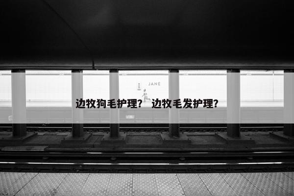 边牧狗毛护理？ 边牧毛发护理？