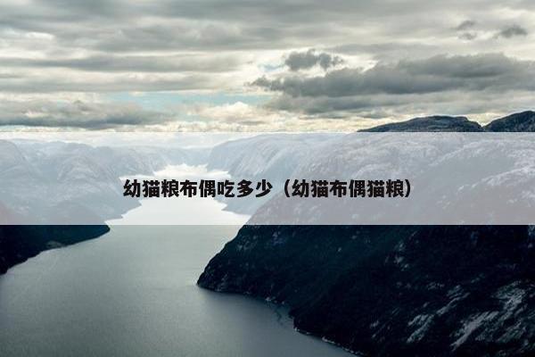 幼猫粮布偶吃多少（幼猫布偶猫粮）