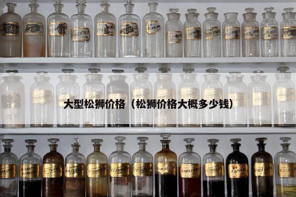 大型松狮价格（松狮价格大概多少钱）