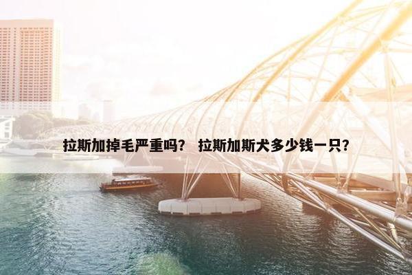 拉斯加掉毛严重吗？ 拉斯加斯犬多少钱一只？