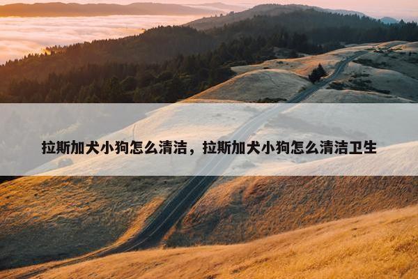 拉斯加犬小狗怎么清洁，拉斯加犬小狗怎么清洁卫生