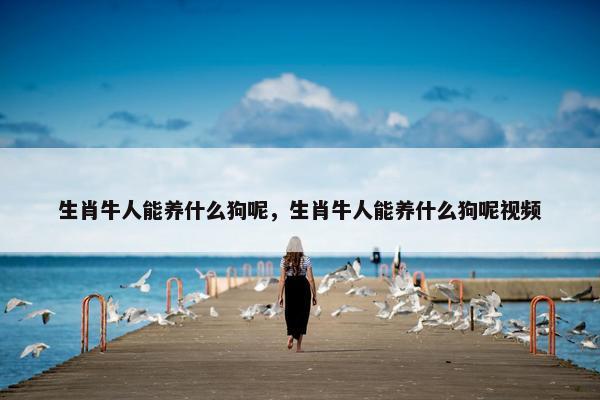 生肖牛人能养什么狗呢，生肖牛人能养什么狗呢视频