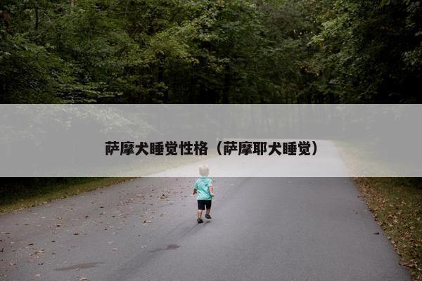 萨摩犬睡觉性格（萨摩耶犬睡觉）