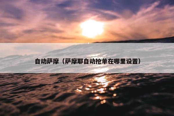 自动萨摩（萨摩耶自动抢单在哪里设置）