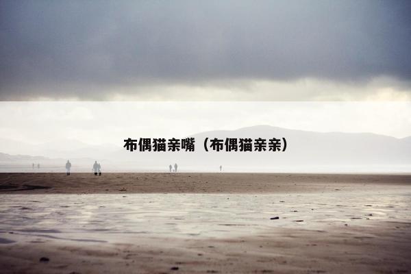 布偶猫亲嘴（布偶猫亲亲）