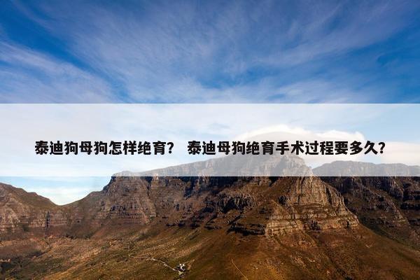 泰迪狗母狗怎样绝育？ 泰迪母狗绝育手术过程要多久？