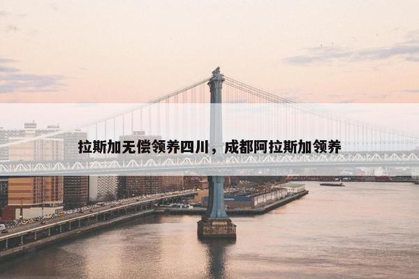 拉斯加无偿领养四川，成都阿拉斯加领养