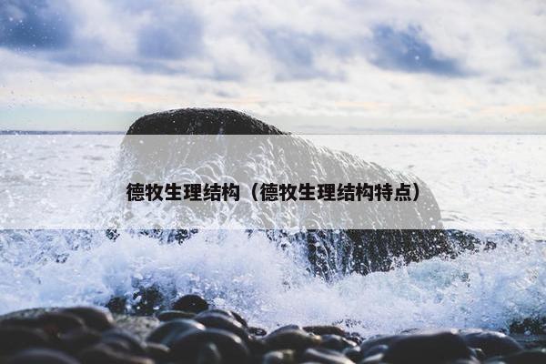 德牧生理结构（德牧生理结构特点）