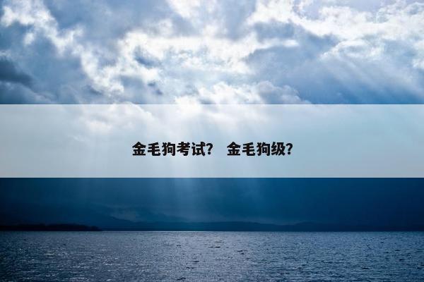 金毛狗考试？ 金毛狗级？